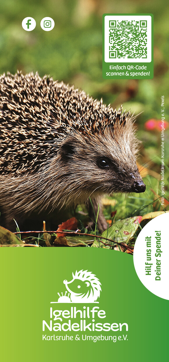 DIN-Lang-Flyer_digital