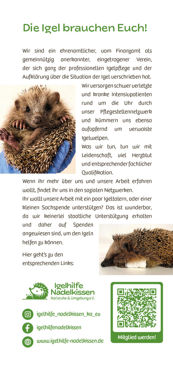 DIN-Lang-Flyer_digital2